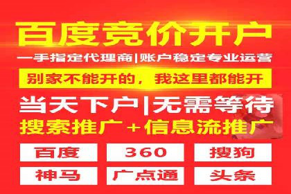 Sem优化公司案例：打造高效广告投放策略
